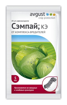 Сэмпай 